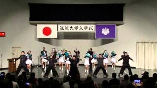筑波大学応援部WINS　秋学期入学式2013
