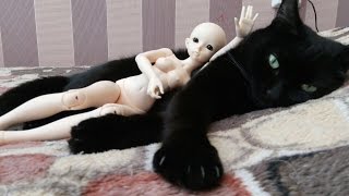 Кукла БЖД с Алиэкспресс...