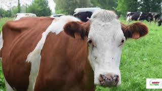 Innov'Action Bretagne 2018 - Bio et non labour