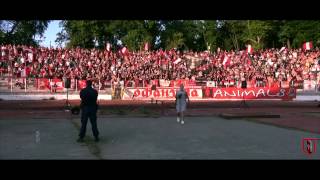 SUPPORT STEAUA