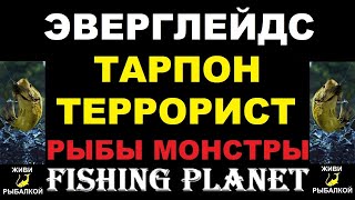 Fishing Planet - Тарпон террорист на Эверглейдсе