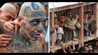 Самые страшные тюрьмы в мире. Не для слабонервных!