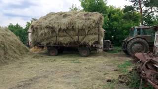 Вываливаю прицеп с сеном