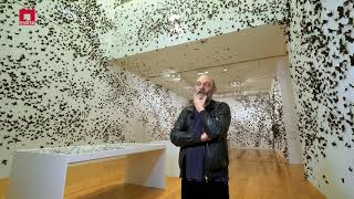 Entrevista con el artista Carlos Amorales