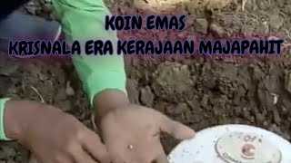 Harta karun tuban majapahit #majapahit