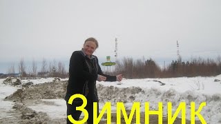 Зимник