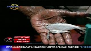 Cuaca Buruk, Gelombang Tinggi Tangkapan Nelayan Turun Drastis