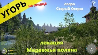 Русская рыбалка 4 - озеро Старый Острог - Угорь на живца
