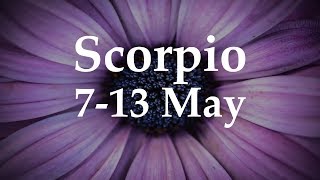 Scorpio Weekly Tarot 7-13 May 2018  - Aquarian Insight