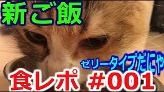 【かわいい 猫動画】新しいゼリータイプのご飯を食レポにゃん☆ Norwegian Forest Cat ノルウェージャンフォレストキャット NANOCA
