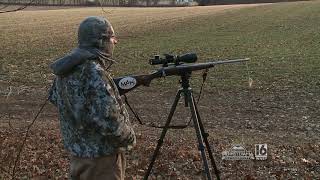 Red Fox Hunt with Master Predator Hunting - LLC Guided Predator Hunts
