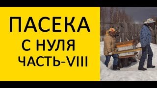 Пасека с нуля часть 8.  Переноска ульев в зимовник. Носилки для переноски ульев / www.uley.in