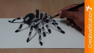 3D Spider - Speed Drawing | CreativeStation