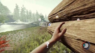 The Forest  прохождение 18+