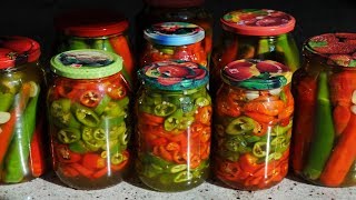 Перец Острый на Зиму. Выпуск №290