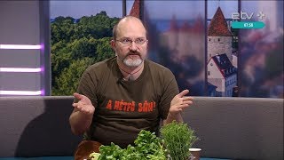 Огород на подоконнике: простые лайфхаки от садовника Ботанического сада