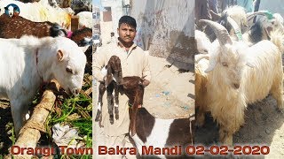 Orangi Town Sunday Bakra Mandi Latest Update 02 Feb 2020