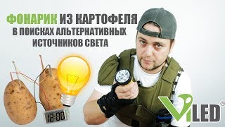 Как получить электричество из картошки. Фонарик из картофеля