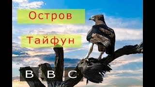 BBC ДИКАЯ ПРИРОДА Остров тайфунов