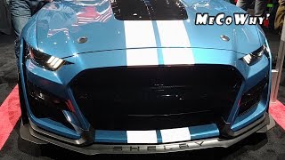 I attended the 2019 Detroit AUTOSHOW and this is what I have for YOU