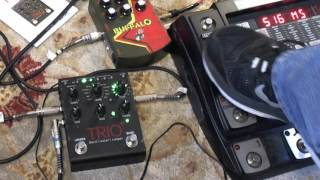 trio plus demo
