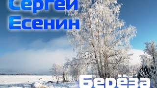 Сергей Есенин  - Береза