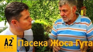 Матки от Жоса Гута (#JosGuth, Люксембург 2019): Эталон миролюбия #Бакфаст (#Buckfast)