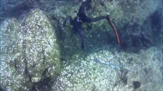 Ψαροντούφεκο Σίφνος 2012 (Spearfishing in Sifnos)