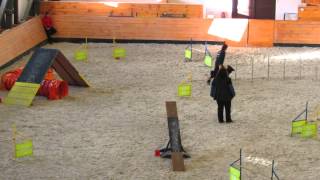 Tep agility - Terezín 10. 1. 2015