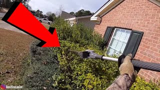Here's What I See | Trimming hedges