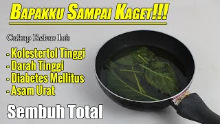 SETELAH NONTON VIDEO INI, SAYA YAKIN ANDA AKAN MENCARI TANANAM INI SAMPAI KE POJOK-POJOK KAMPUNG
