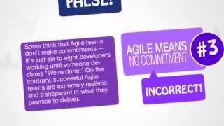 Agile Concerns and Issues