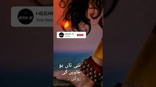 Na Chad Boha Peer Da | Poetry Saeed Aslam | Punjabi Shayari | Whatsapp Status 2020 | Heera JR