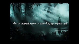 Что скрывают леса возле трассы? / страшные истории на ночь / мистические страшилки / рассказы ужасы