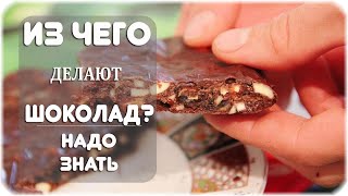 Как и из чего делают шоколад?