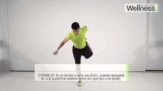 WELLNESS Estiramientos