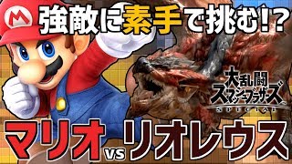 空の王者リオレウスに素手で挑む男。【スマブラSP】