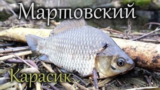 Ловля карася на удочку в марте / ранней весной...Turistorii