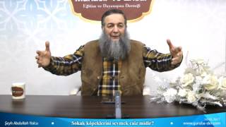Sokak köpeklerini sevmek caiz midir? - Şeyh Abdullah Yolcu