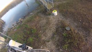florida everglades fishing video # 2 oscars and  crappie