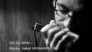 Gel Ey Seher - Polat Bülbüloğlu  / Mızıka - Vahid MOHAMMADI