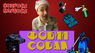 Почему собака боится зажигалки, пылесоса, одежды и распылителя. Как с этим бороться?