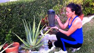 Recipe with Aloe Vera for Cancer Prevention