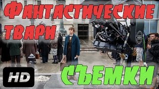 Фантастические твари и где они обитают съемки. Смотреть онлайн Фантастически твари 2016
