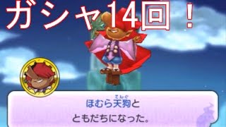妖怪ウォッチ2本家・元祖】ほむら天狗・ゴルニャンをゲット！妖怪ガシャ14回　　＃199  アニメ妖怪ウォッチのゲーム実況攻略！　第345　妖怪ウォッチ2本家・元祖　YO-Kai Watch