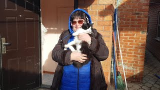 Переехали в Краснодарский край, Ейск. Ремонт и благоустройство дома продолжается. Горлицы.