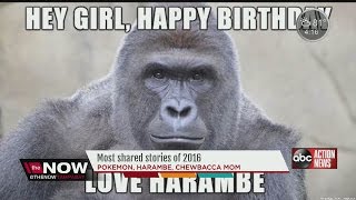 The most shared stories of 2016