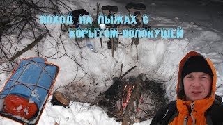 Зимний поход на охотничьих лыжах и корытом-волокушей и ночевка в зимнем лесу.