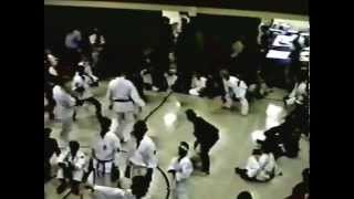 Ryukyu Shorinji Ryu -  Vintage Footage of Kyoshi Micheal Broadman & Sensei Ken Balleit.