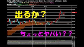 現在の形を把握し、未来のカタチを想定する 【金相場】【白金相場】